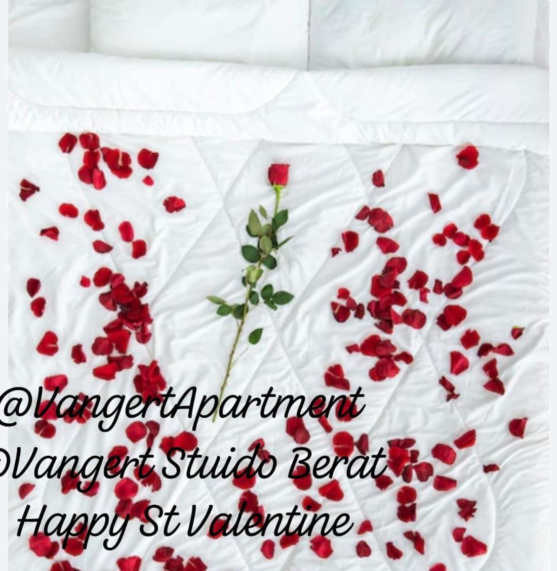 Vangert Apartment Berat Room photo